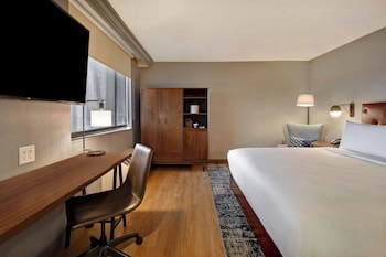 Room, 1 King Bed