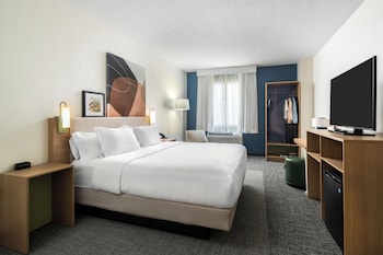 Room, 1 King Bed