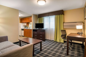 Suite, 1 King Bed, Non Smoking (Efficiency)