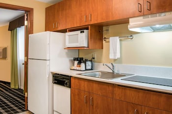 Suite, 1 King Bed, Non Smoking (Efficiency)