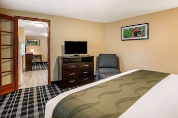 Suite, 1 King Bed, Non Smoking (Efficiency)