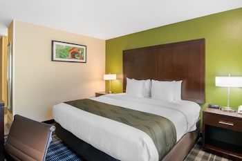 1 King Bed, Nonsmoking