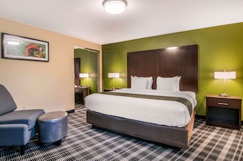 Suite, 1 King Bed, Non Smoking (Efficiency)