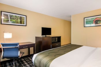 King Bed, Accessible