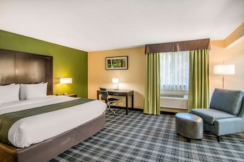 Suite, 1 King Bed, Non Smoking (Efficiency)