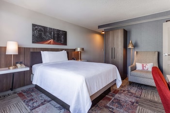 One Queen Bed, Roll In Shower