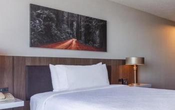 Room, 1 King Bed, Mountain View
