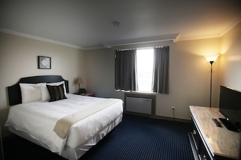 Executive Suite (No pets allowed)