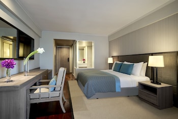 Deluxe Sea View Plus Room