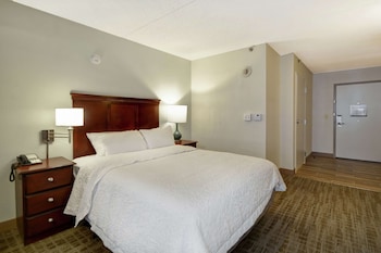 Room, 1 Queen Bed, Accessible, Refrigerator & Microwave (Roll-in Shower)