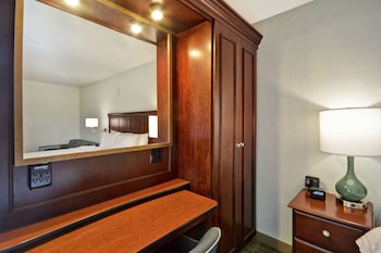 Room, 1 King Bed, Non Smoking, Refrigerator & Microwave