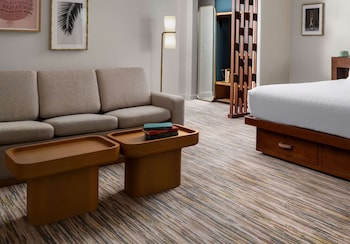 Room, 1 King Bed with Sofa bed