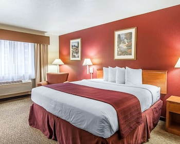 Standard Room, 1 King Bed, Non Smoking