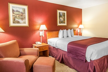Standard Room, 1 King Bed, Non Smoking
