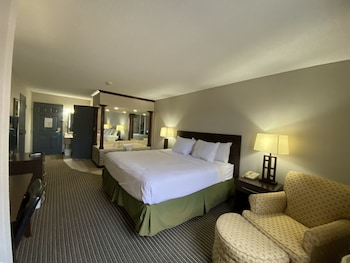 Room, 1 King Bed