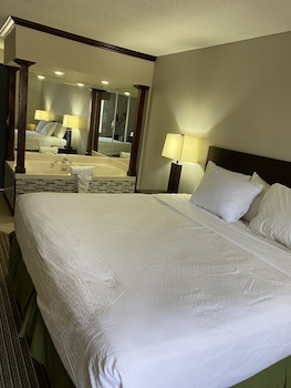 Room, 1 King Bed