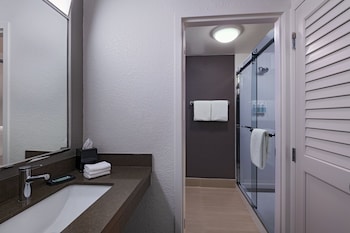 Room, 1 King Bed with Sofa bed (Hearing Accessible)