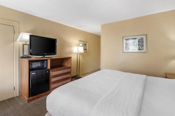 Standard Room, 1 King Bed, Refrigerator & Microwave, Pool View