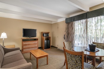 Suite, 1 King Bed, Non Smoking, Refrigerator & Microwave (with Sofabed)