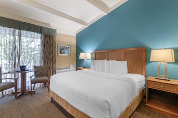 Standard Room, 1 King Bed, Refrigerator & Microwave, Pool View