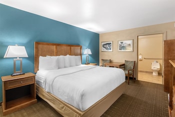 Standard Room, 1 King Bed, Accessible, Refrigerator & Microwave