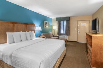 Standard Room, 1 King Bed, Non Smoking, Refrigerator & Microwave