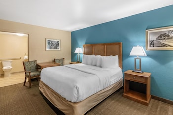 Standard Room, 1 King Bed, Accessible, Refrigerator & Microwave
