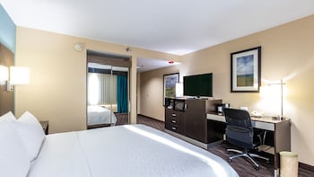 Standard Room, 1 King Bed, Mountain View