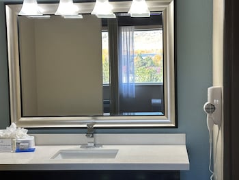 Suite, 1 King Bed