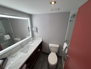 Standard Room, 1 King Bed, Non Smoking (with Single Sofabed)