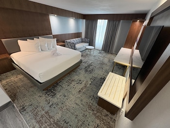 Standard Room, 1 King Bed, Patio, Poolside (with Single Sofabed)