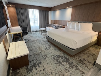 Standard Room, 1 King Bed, Non Smoking (with Single Sofabed)
