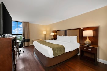 Standard Room, 1 King Bed, Non Smoking, City View