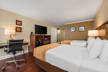 Room, 2 Double Beds, Accessible, Non Smoking