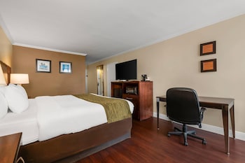Standard Room, 1 King Bed, Non Smoking, City View