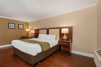 Standard Room, 1 King Bed, Non Smoking, Ocean View