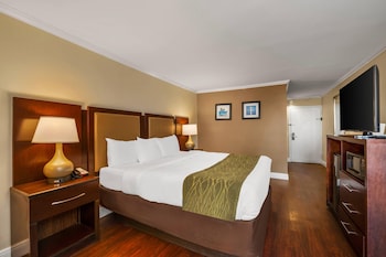 Standard Room, 1 King Bed, Non Smoking, City View