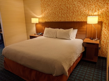 Executive Suite, 1 King Bed with Sofa bed