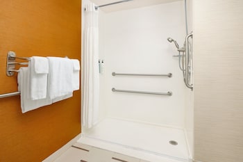 Room, 1 King Bed (Mobility/Hearing Access, Roll-In Shwr)