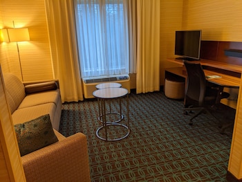 Executive Suite, 1 King Bed with Sofa bed