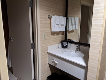 Room, 1 King Bed (Mobility/Hearing Access, Roll-In Shwr)