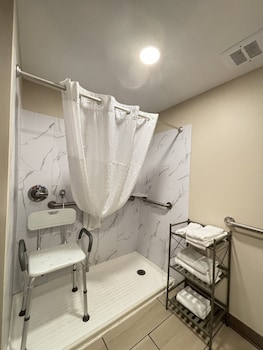 Deluxe Room, 1 King Bed, Accessible, Non Smoking (Roll-in shower w/ Grab Bars)
