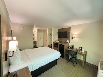 Room, 1 Queen Bed, Non Smoking