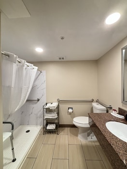 Deluxe Room, 1 King Bed, Accessible, Non Smoking (Roll-in shower w/ Grab Bars)