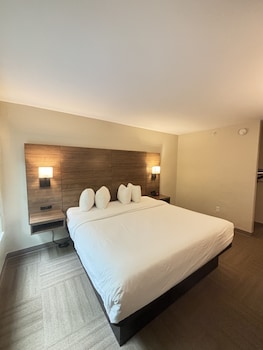 Deluxe Room, 1 King Bed, Accessible, Non Smoking (Roll-in shower w/ Grab Bars)