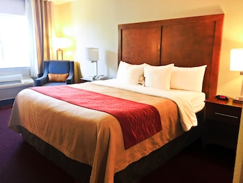 Standard Room, 1 King Bed, Non Smoking