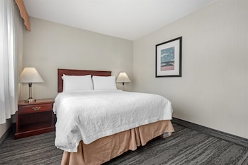 1 Bedroom Apartment, 1Queen, Non-Smoking, Kitchenette, Living room with sofa bed