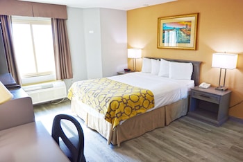 Room, 1 Queen Bed, Accessible, Non Smoking (Mobility, roll-in shower)