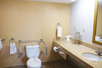 Room, 1 Queen Bed, Accessible, Non Smoking (Mobility, roll-in shower)