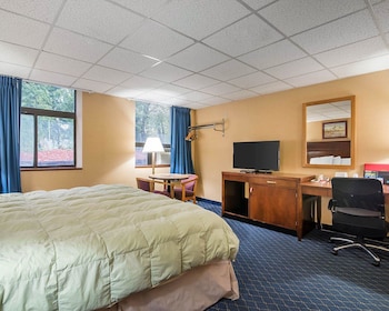 Standard Room, 1 King Bed, Non Smoking